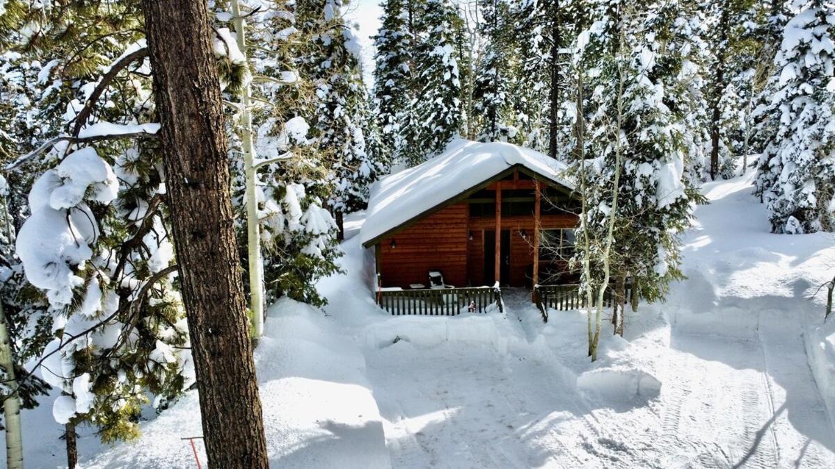 Lovely Log Cabin With Fire Pit! Duck Creek Village Dış mekan fotoğraf
